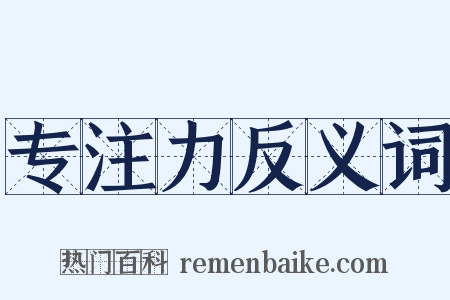 专注力反义词是什么意思的图片